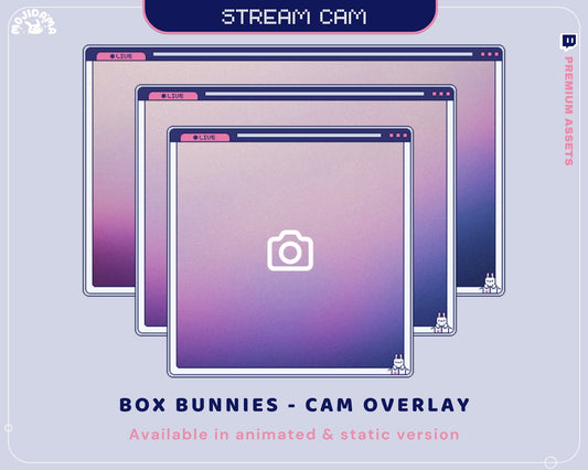 Cam Overlay Twitch Animation Bunny Animated Cute Rabbit 16:9 Stream Frame Youtube Streaming Cat Frame Just Chatting Gaming Vtubber Bundle