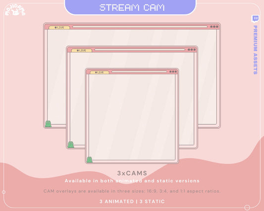 Frog Cam Stream Overlay: Animated Twitch Vtuber (Digital Download)
