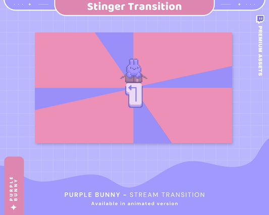 Pink Purple Bunny Stream Transition: Animated Stinger (Digital Download)