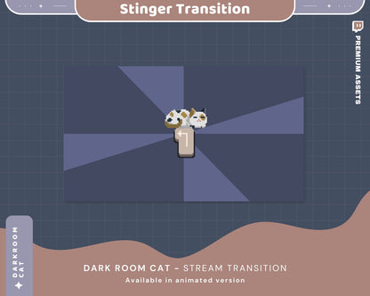 Cute Cat Twitch Transition Animation: Lofi Room Stinger Overlay for OBS, Streamlabs, YouTube, Kick & Streaming Screens