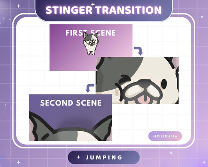 French Bulldog Dog Emotes Animation: Cute Chibi Twitch Animated Transition Stinger for Streaming on OBS, Streamlabs, Discord & YouTube