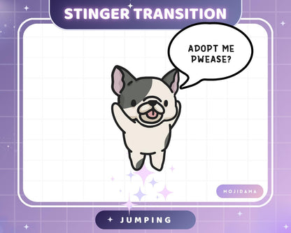 French Bulldog Dog Emotes Animation: Cute Chibi Twitch Animated Transition Stinger for Streaming on OBS, Streamlabs, Discord & YouTube