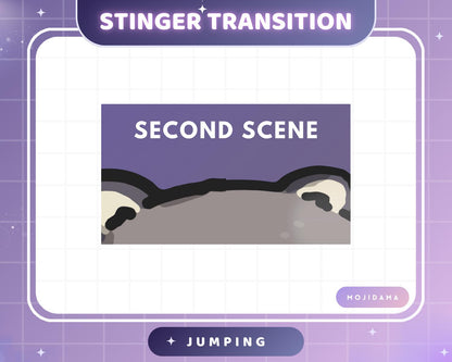 Raccoon Twitch Stinger Transition Jumping Animation Cute Gaming Switch Change Scene Screen Funny Kawaii Vtuber Kick Youtube Obs Streamlabs